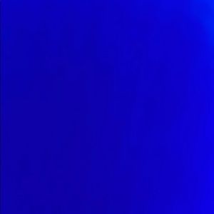 Meet your Posher, Malia